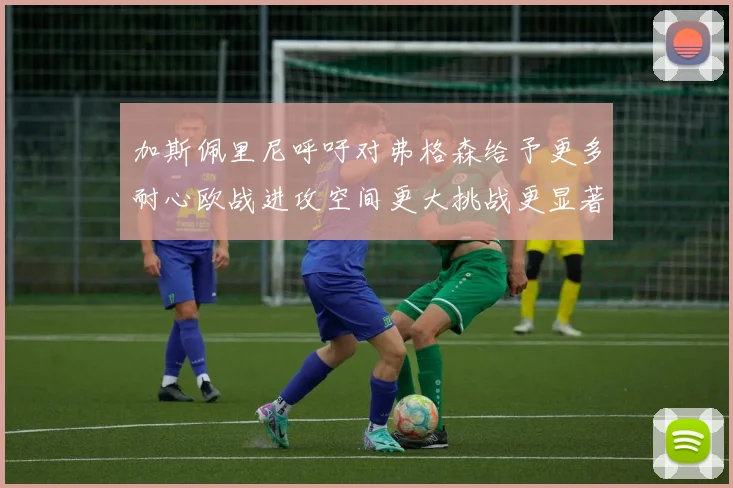 加斯佩里尼呼吁对弗格森给予更多耐心欧战进攻空间更大挑战更显著
