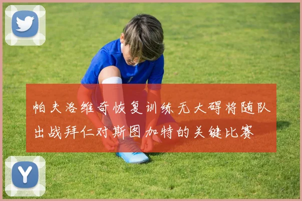 帕夫洛维奇恢复训练无大碍将随队出战拜仁对斯图加特的关键比赛