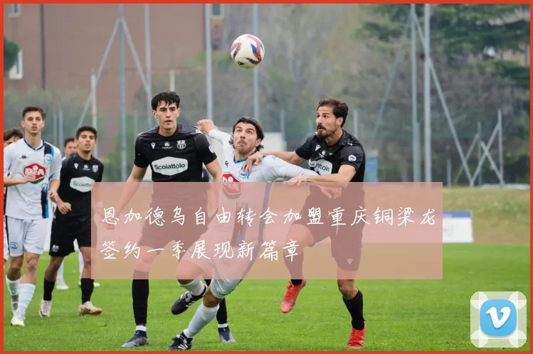 恩加德乌自由转会加盟重庆铜梁龙签约一季展现新篇章