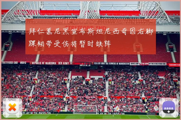拜仁慕尼黑宣布斯坦尼西奇因右脚踝韧带受伤将暂时缺阵