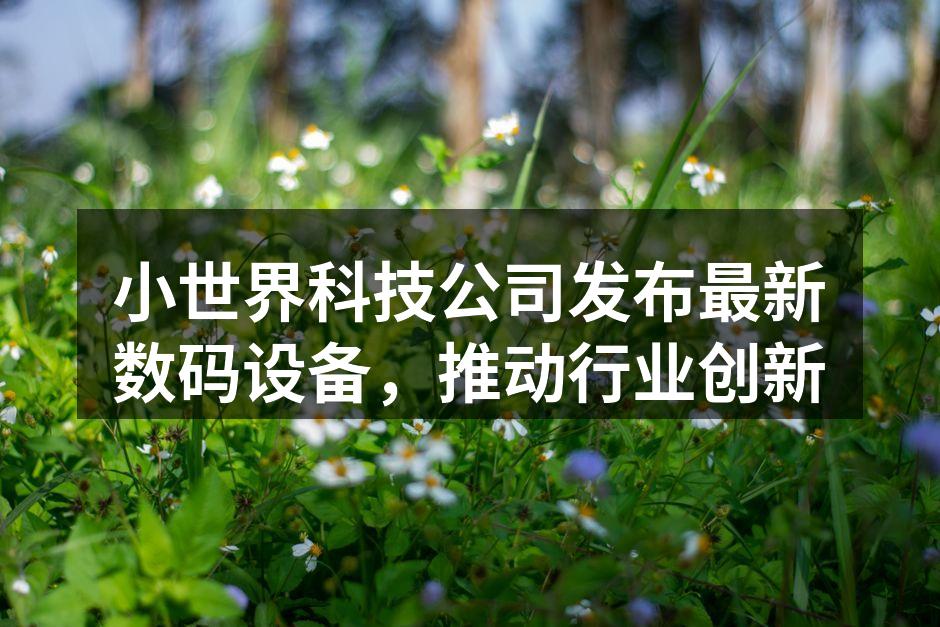 小世界科技CEO张伟在发布会上讲话